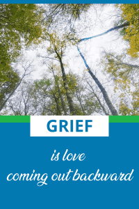 text states grief is love coming out backward, photo of sky with tree tops